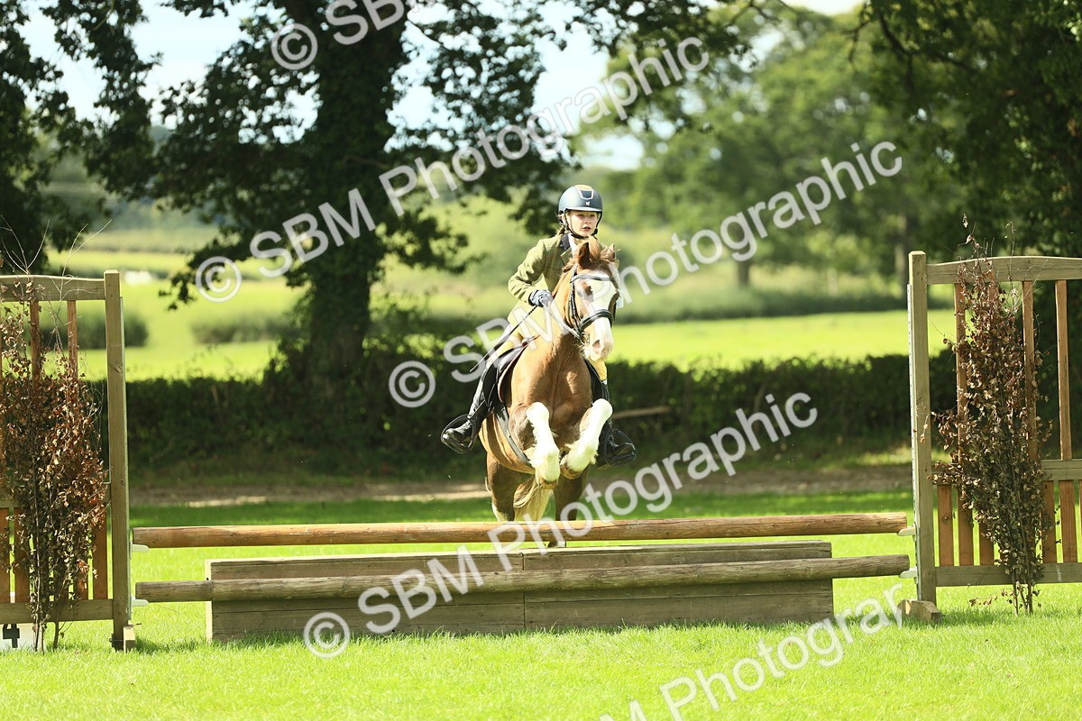 SBM_42840 - S30 - M&M Working hunter Pony