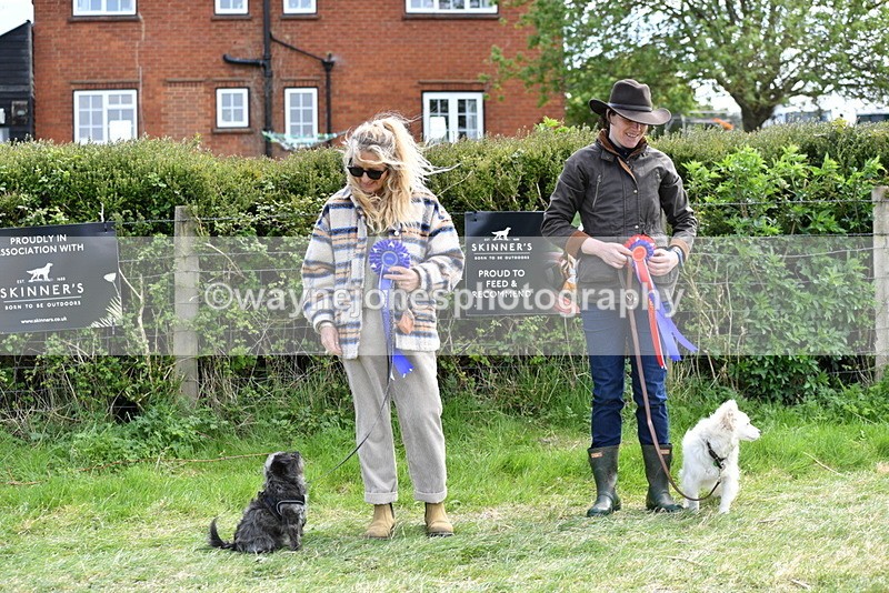 WJ5_0862 - Best in Show Championship
