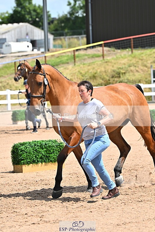 240718A-105300-01428 - Trot Up 12pm to 1pm