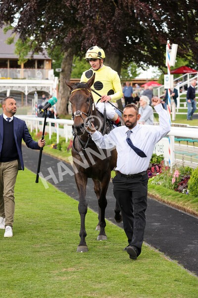 yr11062022r4-28 - Race 4 3.05pm Sky Bet Grand Cup