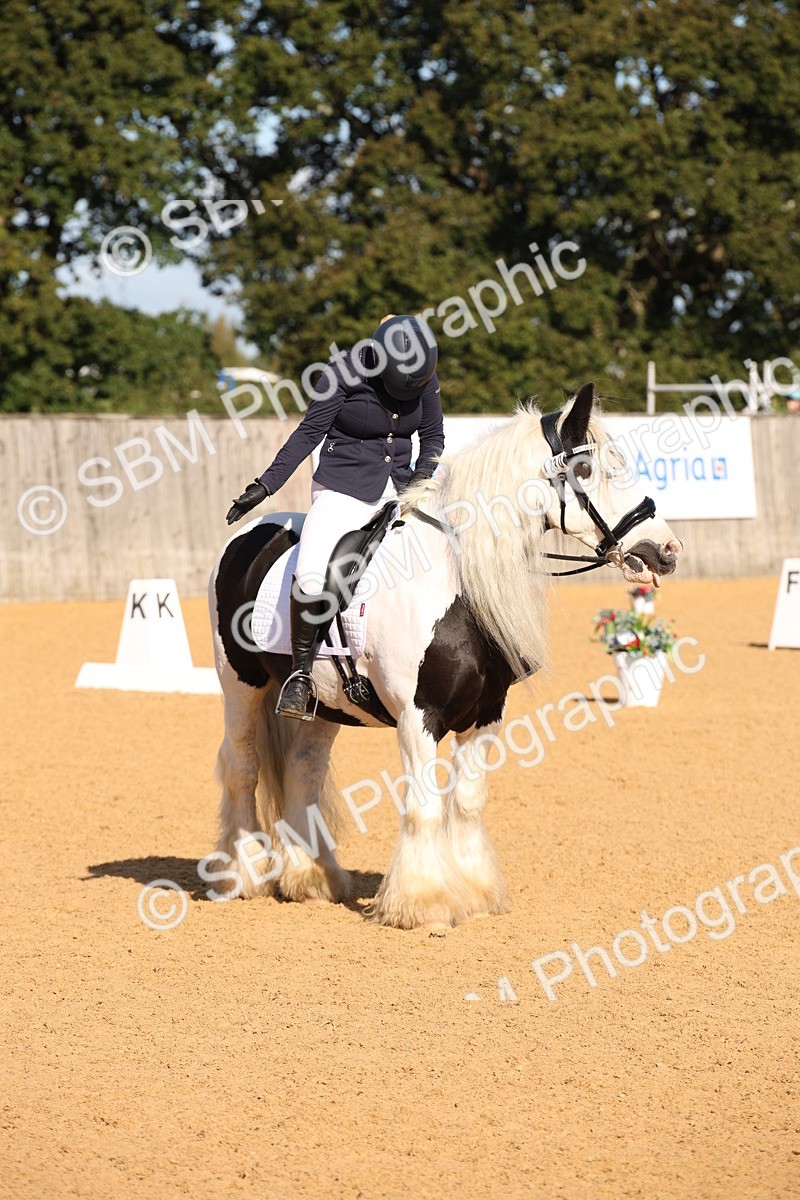 SBM_01948 - D2 Small Tour Championship Intro C
