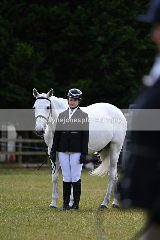 WJ7_7054 - Class 5a Most Handsome Gelding in Hand