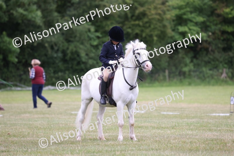 20250605-0620 - Class 1 - Intro 2