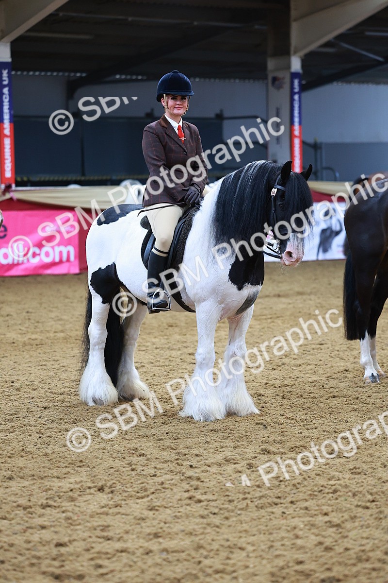 SBM_09828 - Class 102 - HOYS Veteran Qualifier - Ridden Veteran