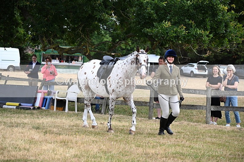 WJ6_3845 - Class 9 Tack & Turnout