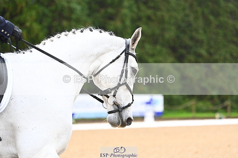 231021-103249-14469 - 230-CHOBELLA-Freddie.Taylor-DR