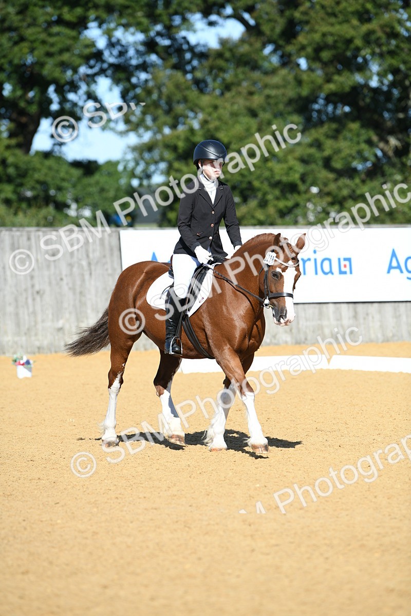 SBM_18011 - D4 - Small Tour Championship - Intro B