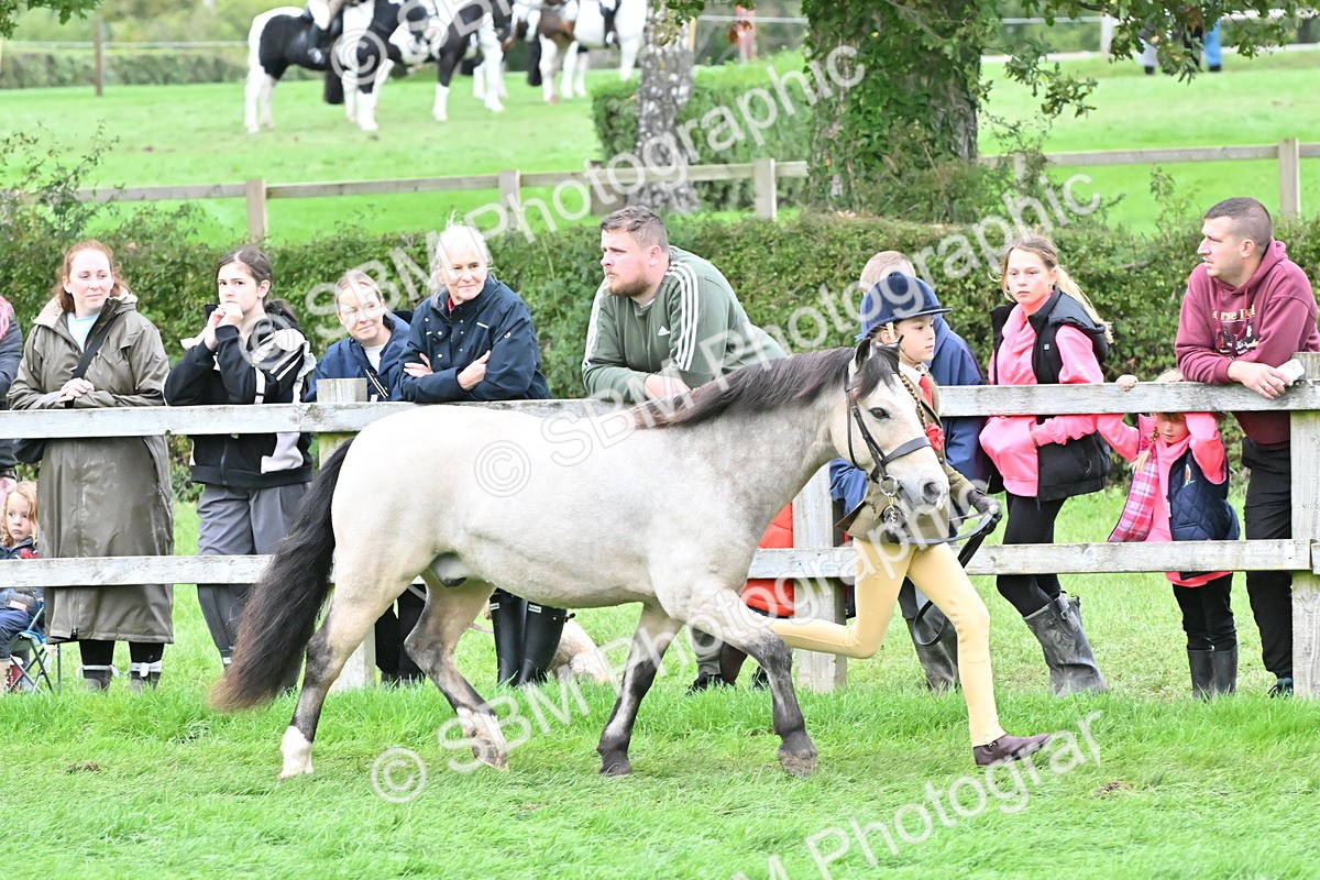SBM_68533 - S42 - Junior Handler 9-12 Years