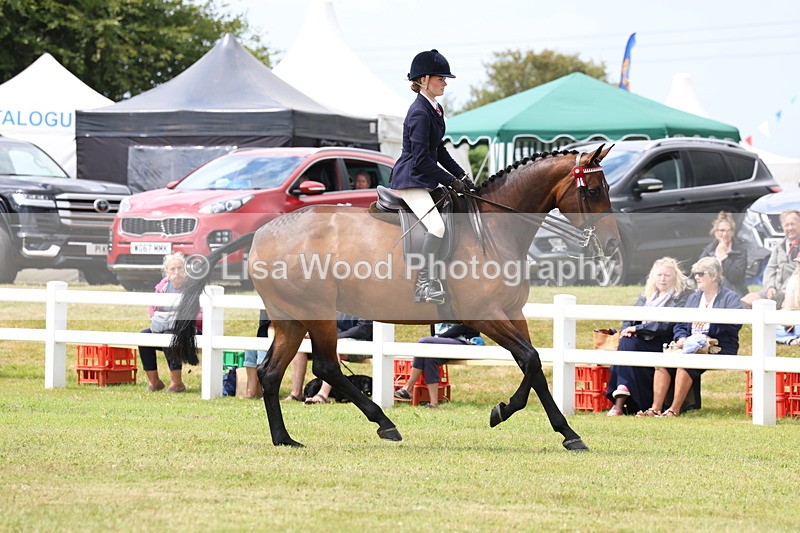 3E7A0875 - Class 8: Open Riding Horse/Hack