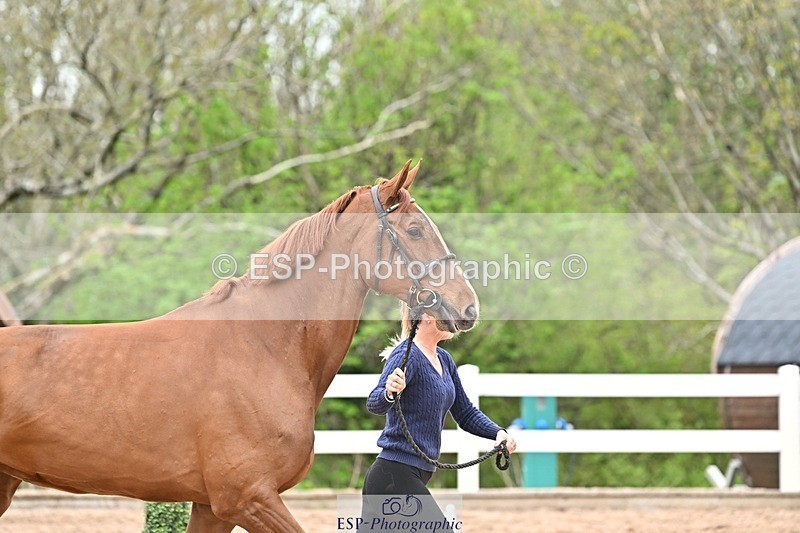 250423-162711-02162 - 4pm to 5pm