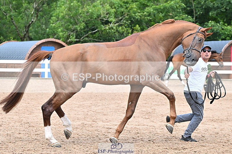 240718A-105321-01889 - Trot Up 1pm to 2pm