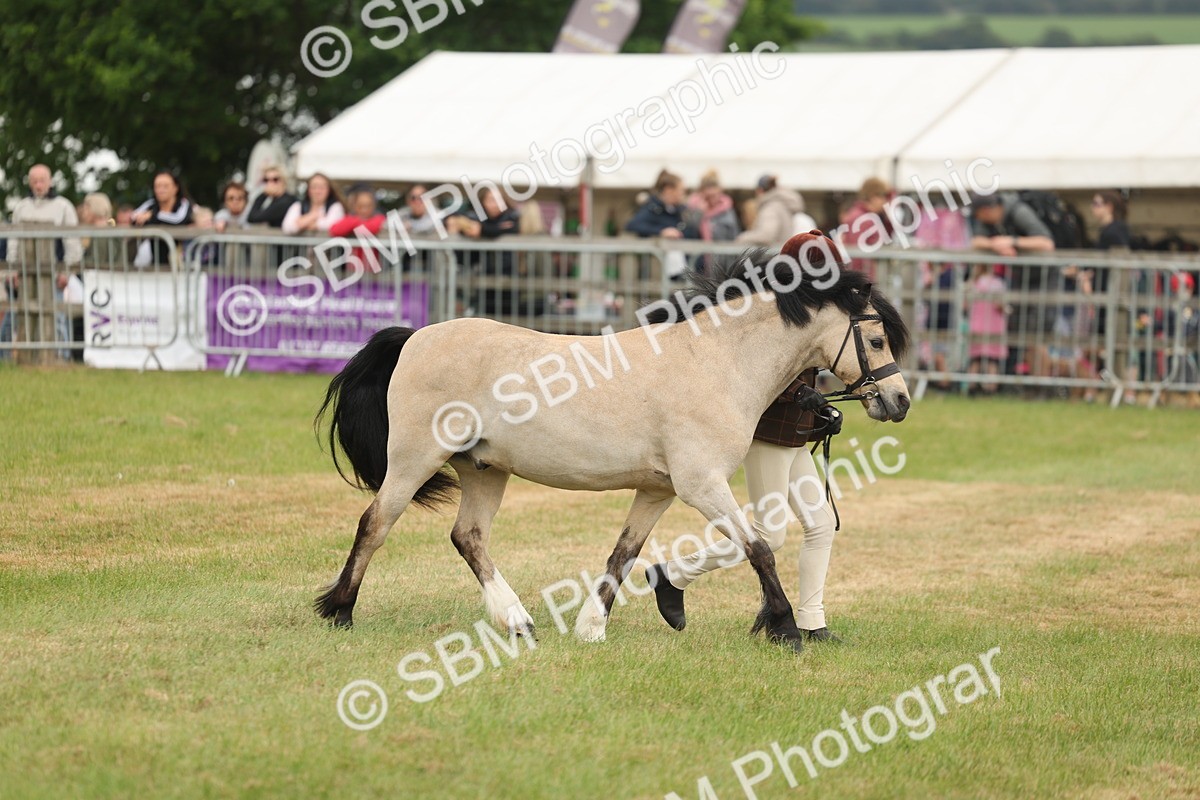 SBM_07123 - Class 76-77 - Ridden M&M Welsh Ponies