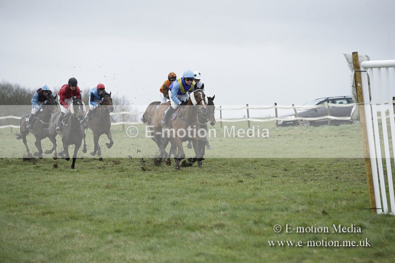 PtP 150320 0293 - New Forest Point-to-Point Larkhill 15/03/20