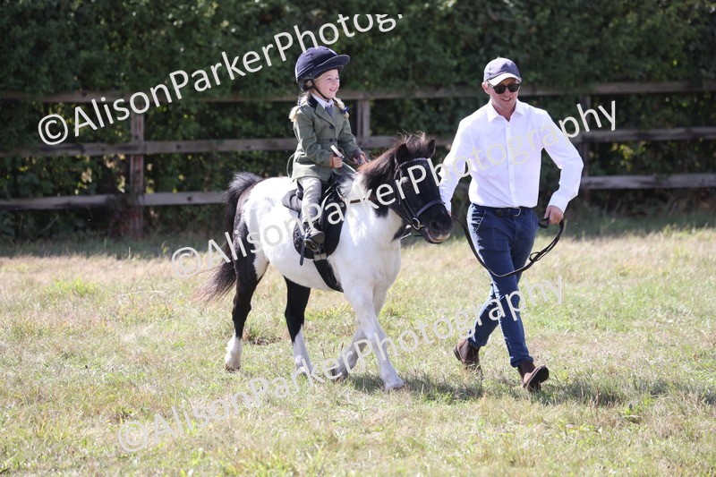 20260906-2791 - Class 25 - Absolute Beginners Pony