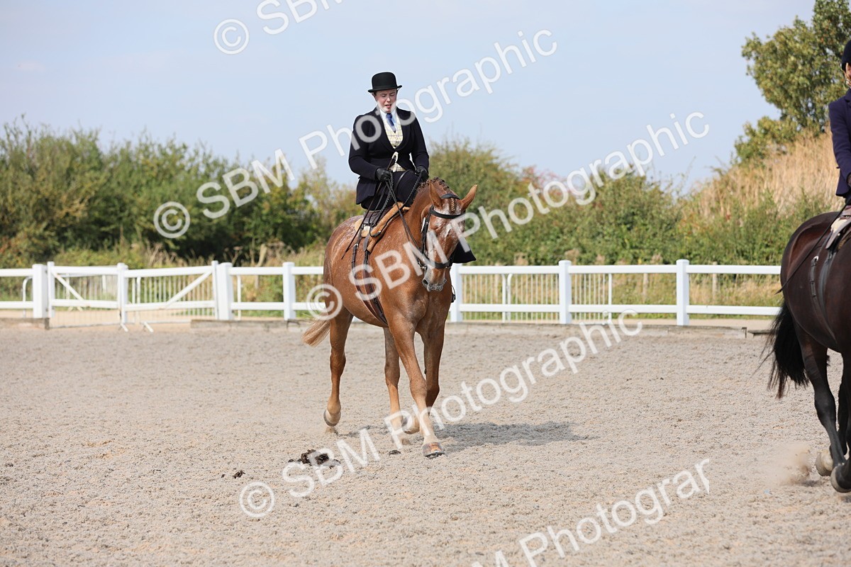 SBM_14547 - Class 211 Best Side Saddle Horse/Pony