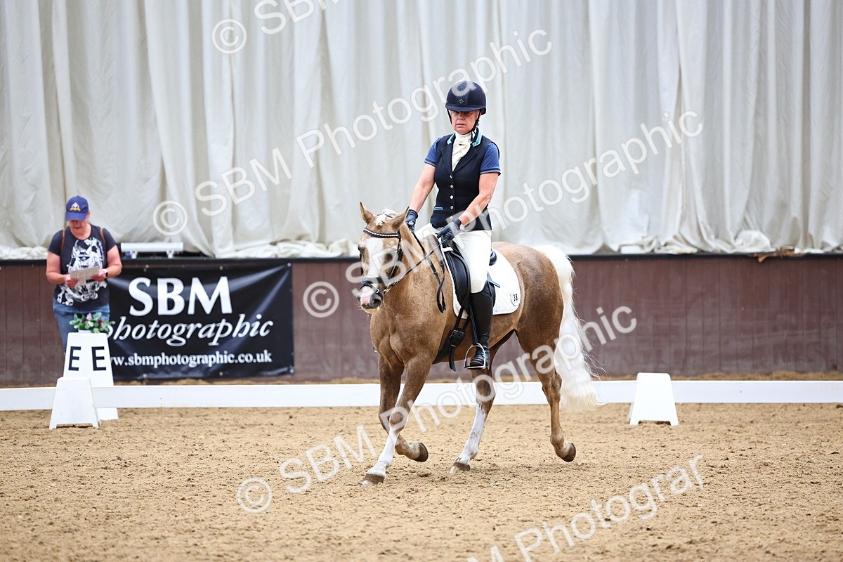 SBM_005562 - Elementary 2