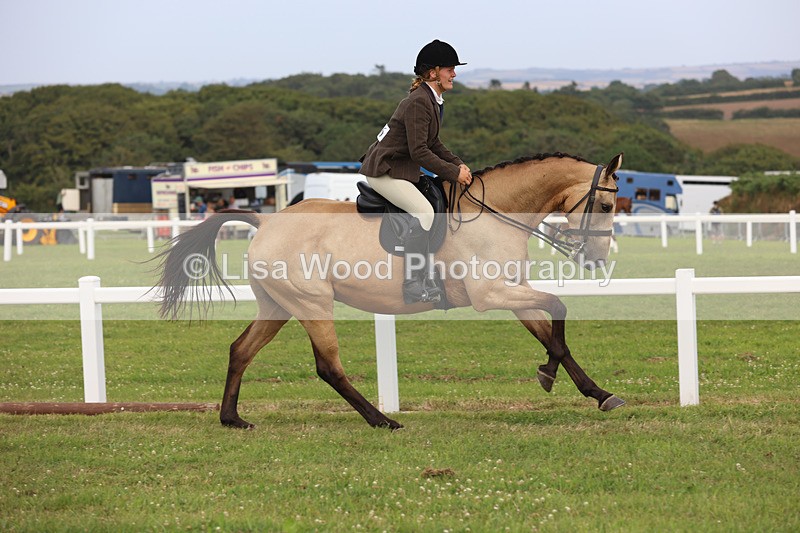 JPP_4443 - Class 26: Working Hunter 1m