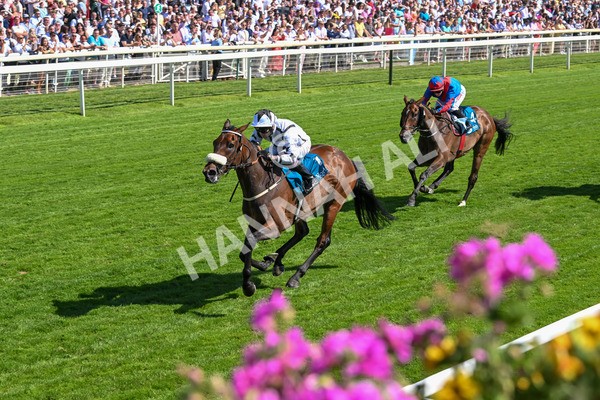 120725-Race 4-Al Qareem-5798 - Race 4 3.45pm John Smith's Silver Cup Stakes