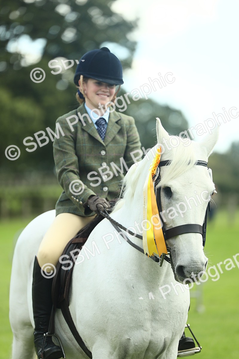 SBM_42231 - S29 - Novice & Newcomers Working Hunter Pony