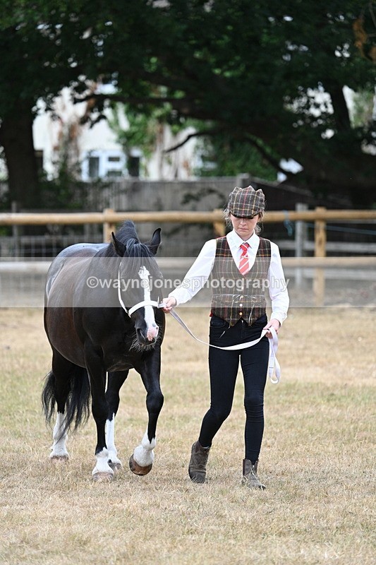 WJ7_8075 - Class 4 Prettiest Mare up to 14.2hh