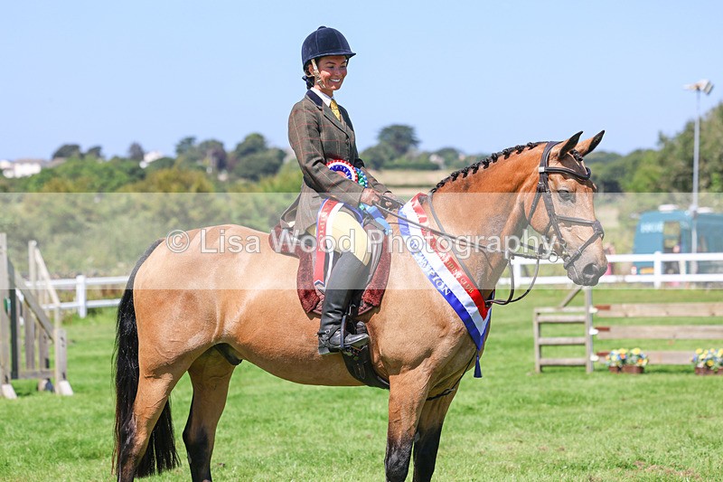 3E7A9302 - Working Hunter Championship