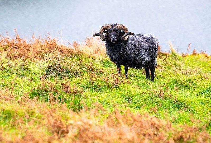  - Scotland, UK