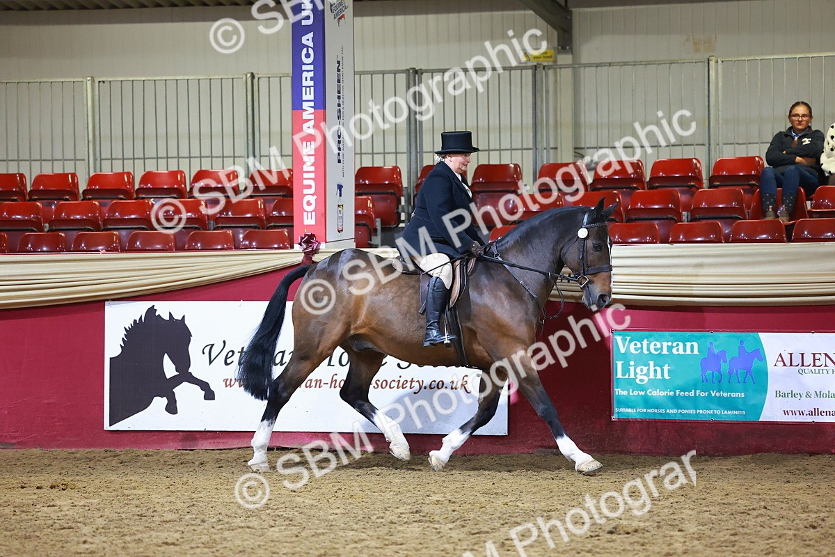 SBM_15667 - Class T - Working Veteran Champ