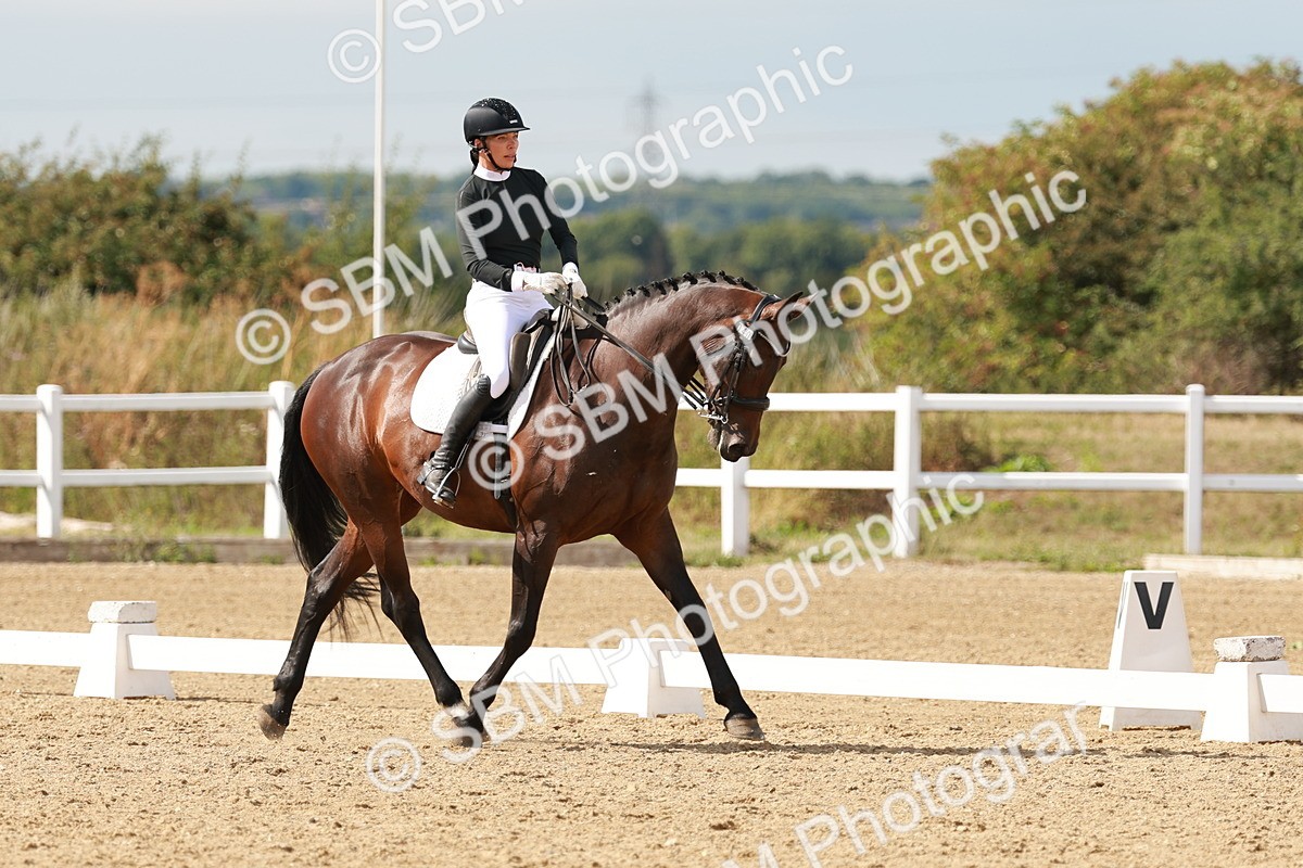 SBM_002452 - Class 11 - Medium 6