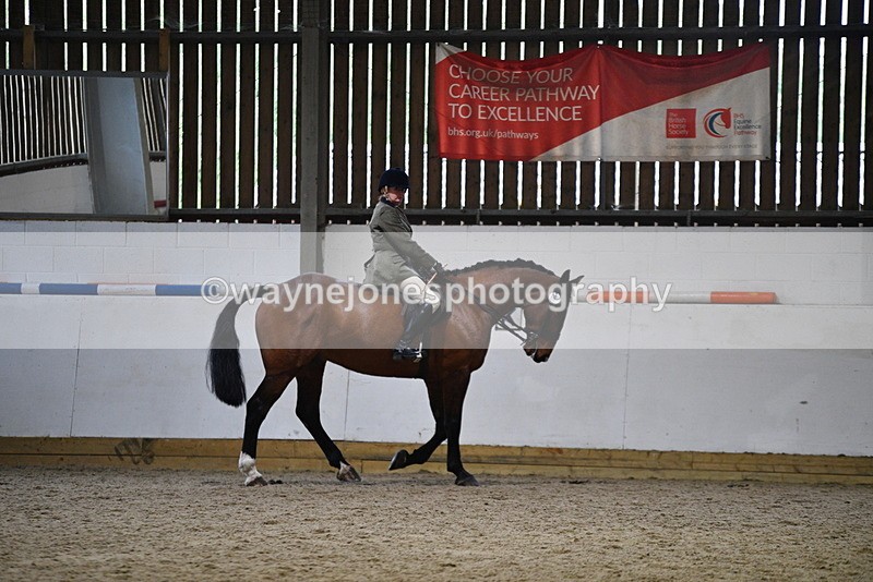WJ5_8894 - Class 15 Ridden Show Horse