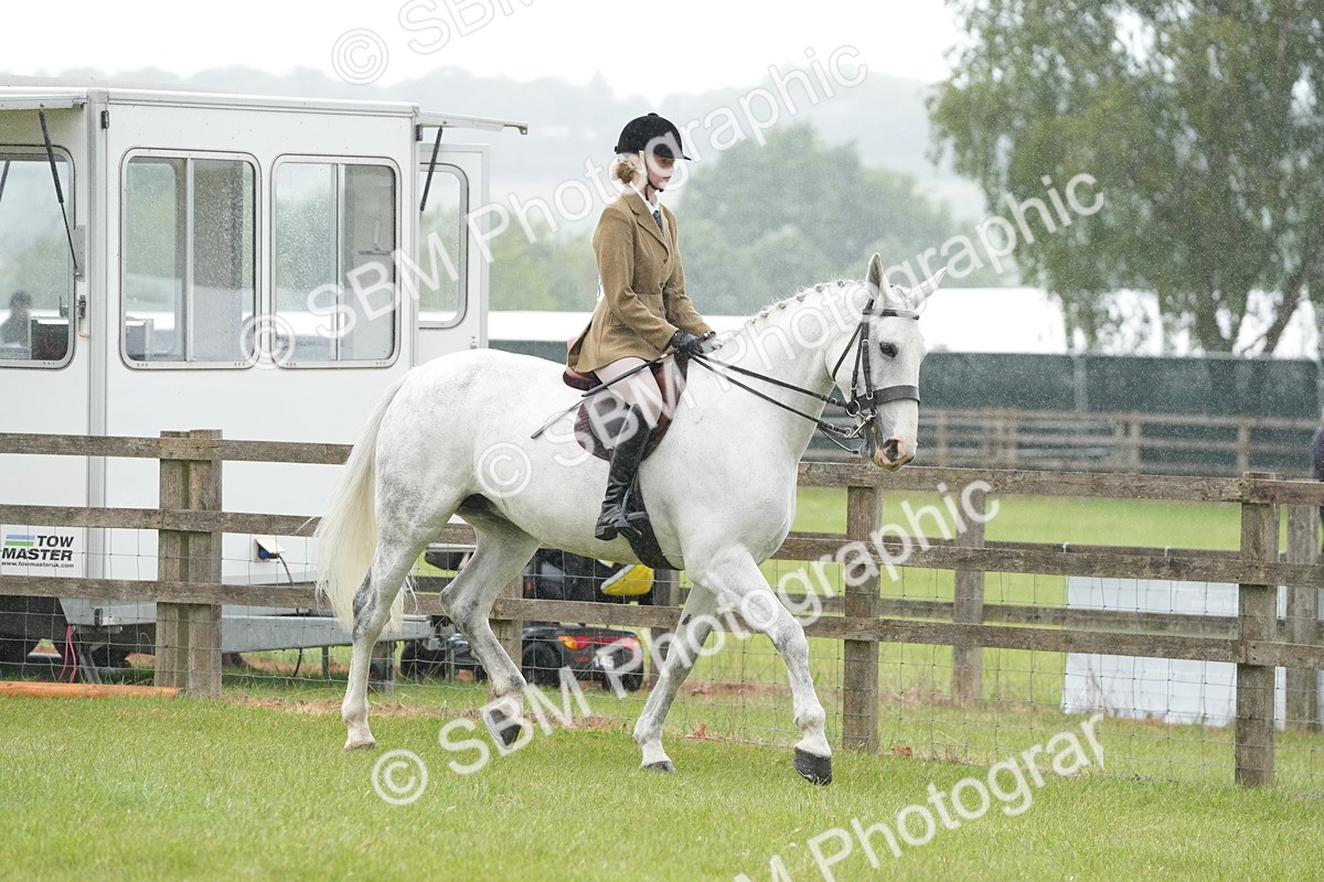 SBM_12642 - Class 97-98 - LIHS BSHA Rising Star Working Show Horse Hunter