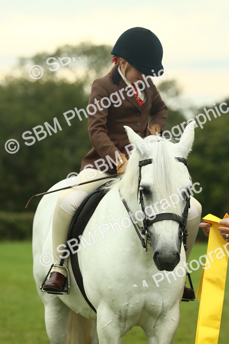 SBM_72289 - S60 - Mountain & Moorland Ridden Large Breeds