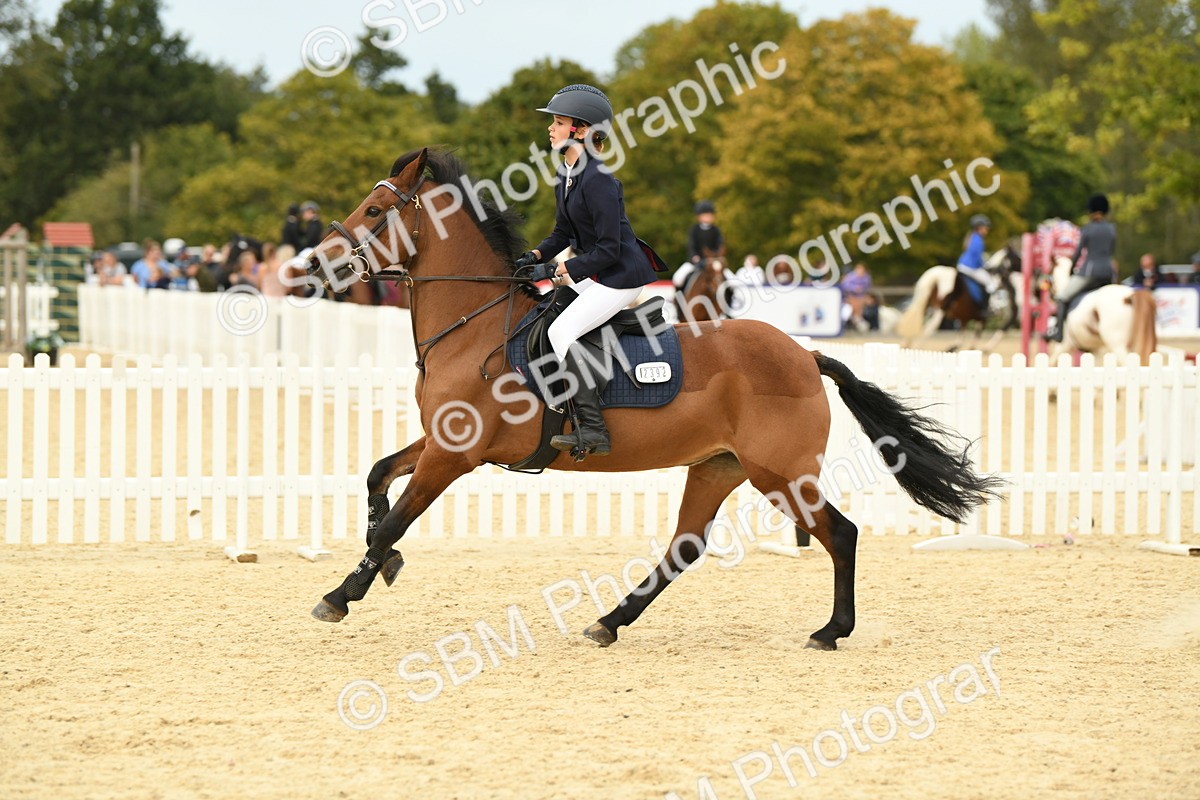 SBM_72931 - J16 - Junior Pony 75cm Championship