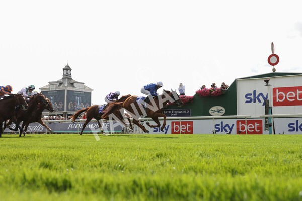 yr18082021r3-50 - Race 3 3.00pm Sky Bet Great Voltigeur Stakes