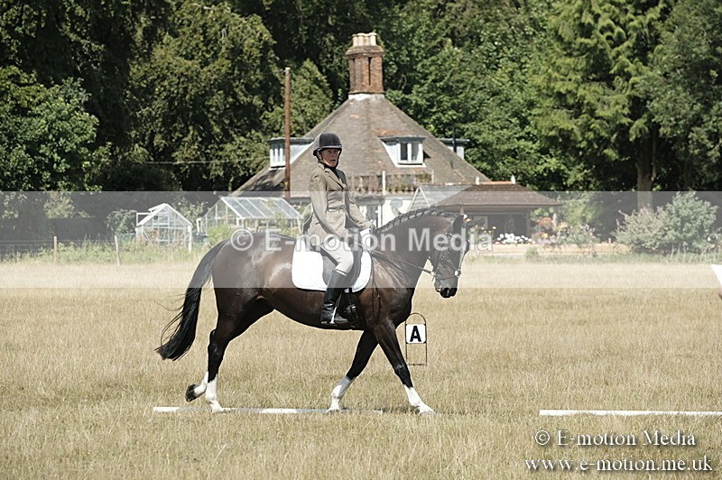 _PJP5863 - Dressage Classes BVRC Show 2018