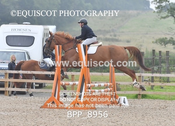 BPP_8956 - CLASS 1 Club/ Unaffiliated 80cms Open