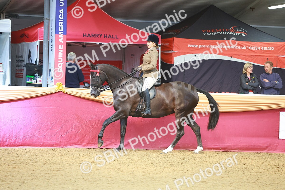 SBM_10608 - Class 103 - HOYS Veteran Qualifier - Ridden Pre Vet