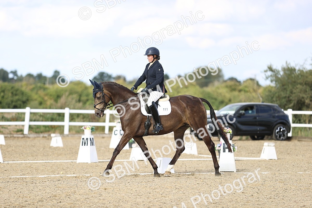 SBM_016105 - Class 5 - E5 Bronze  16.18.17.22