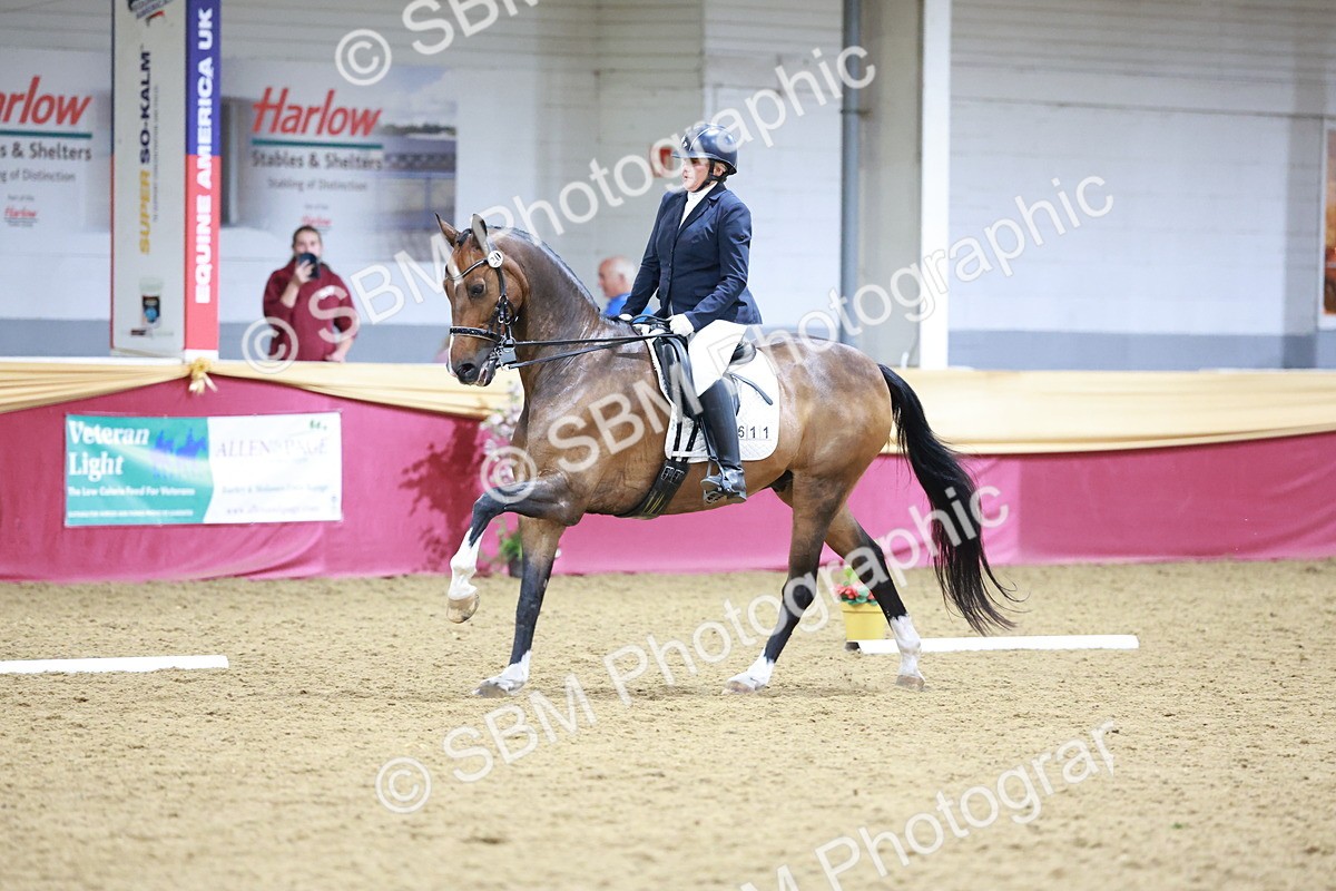 SBM_09882 - Class 61 - Dressage to Music