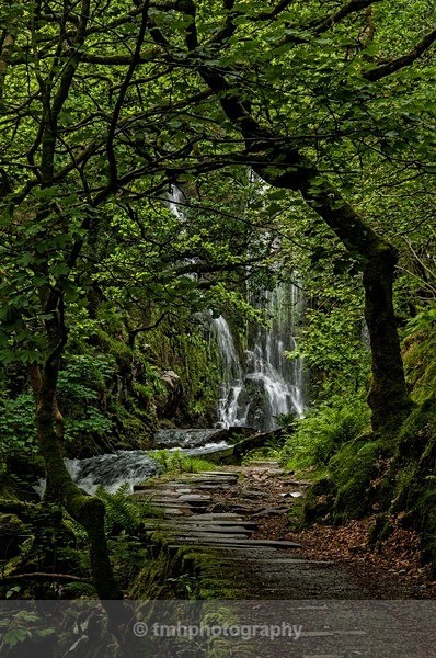 Ceunant Mawr Falls - Wales