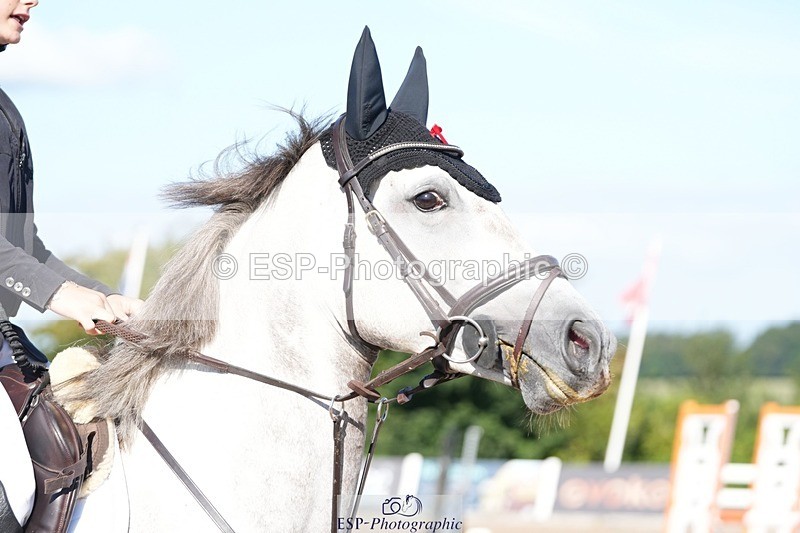 250802-092324-08310 - Cls 19 British Novice and 90cm Open