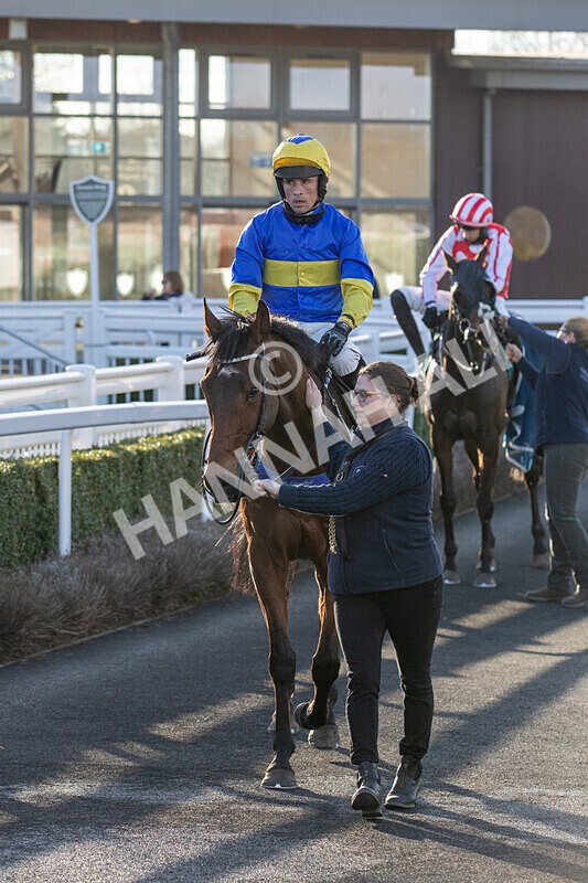 050325-Race 4-Hostile Hotelier-6976 - Race 4