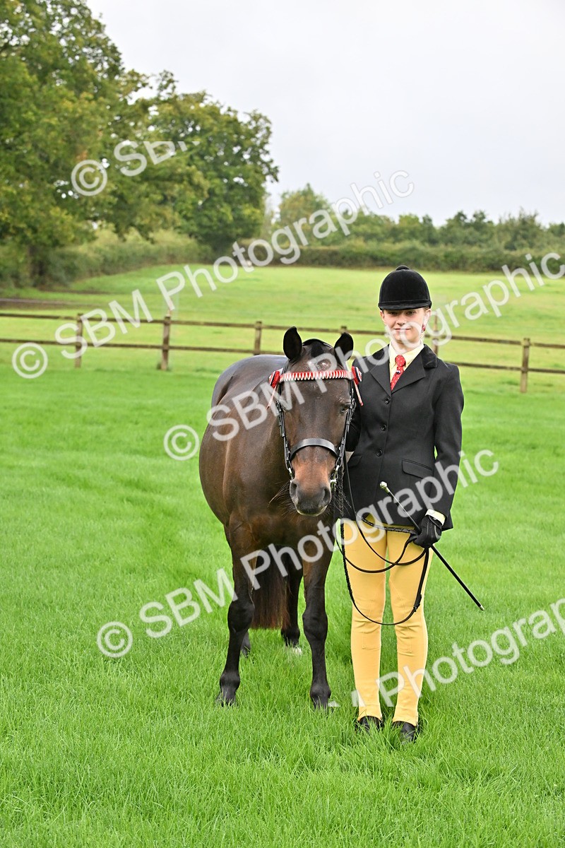 SBM_32644 - S15 - Top Turnout In Hand
