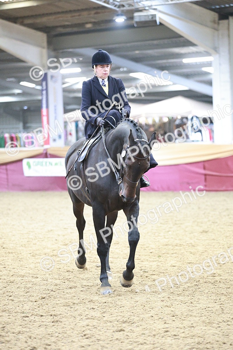 SBM_08844 - Class 12R - Regional Ridden Pre-Vet