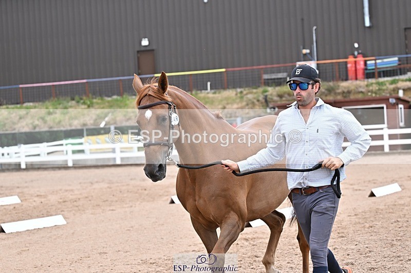 250716-134157-00643 - Trot Up 1.30 to 2.30