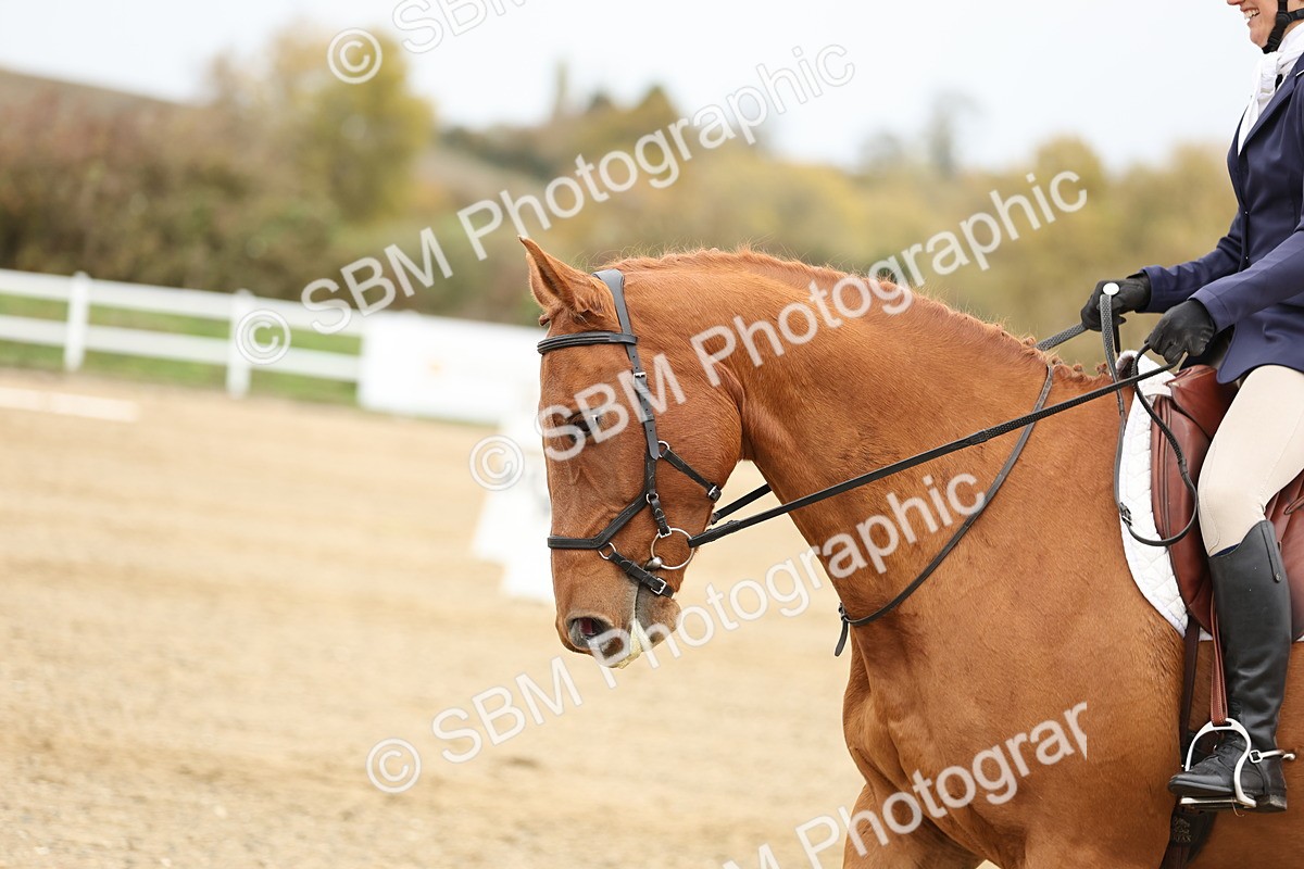 SBM_003020 - Class 8 - Novice 1
