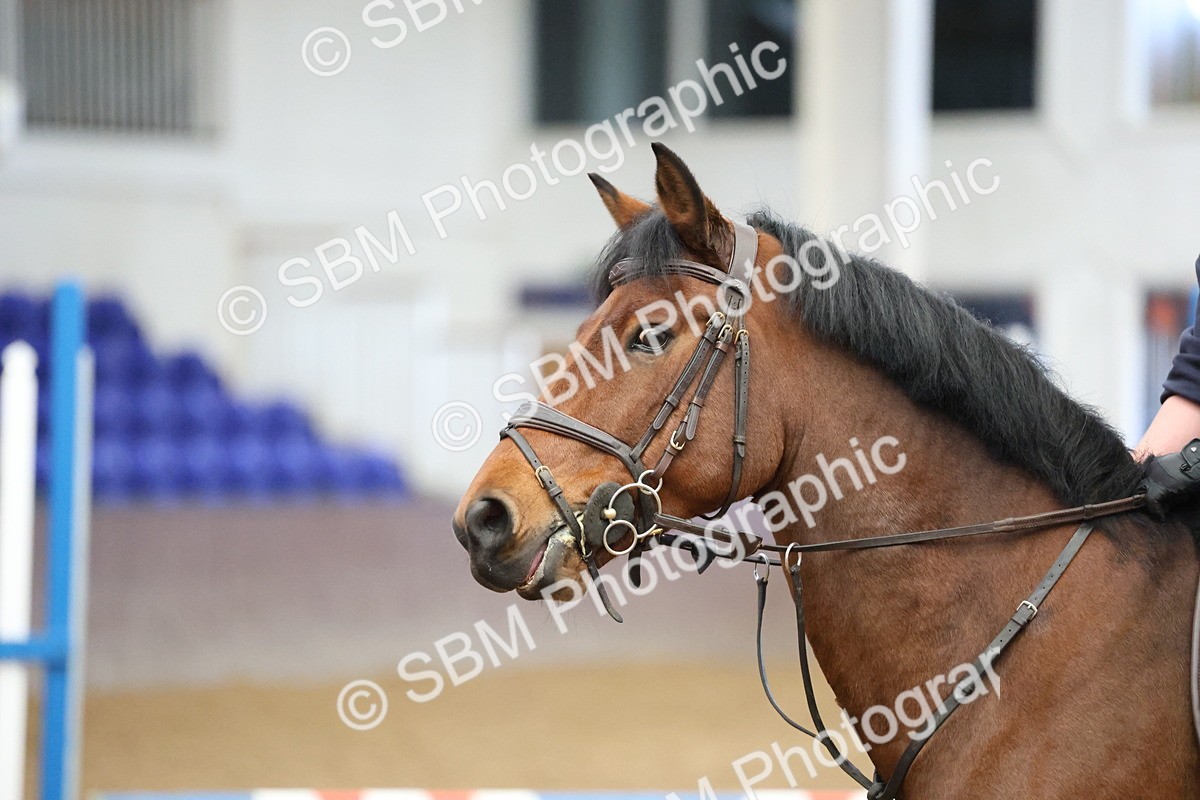 SBM_000506 - 60cm