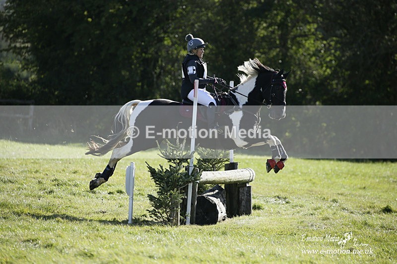  WWHT 031021 1239 - Open Novice (0.80m) 03/10/21