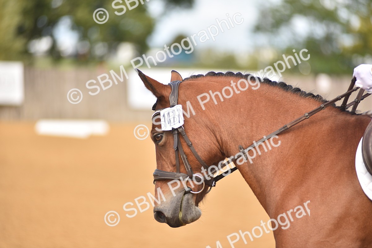 SBM_03663 - D15 - Small Tour Championship Novice 1