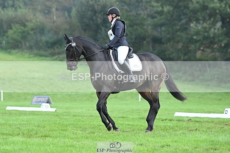 231020-094623-05761 - 464-IMPERIAL.TANGLE-Deborah.Burrell-DR