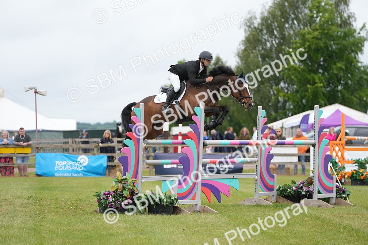 SBM_03266 - Class 201 - British Horse Feeds Speedi Beet Horse of the Year Show Grade  C